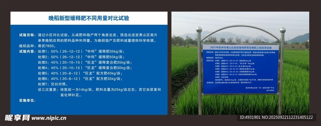 晚稻新型缓释肥不同用量对比试验
