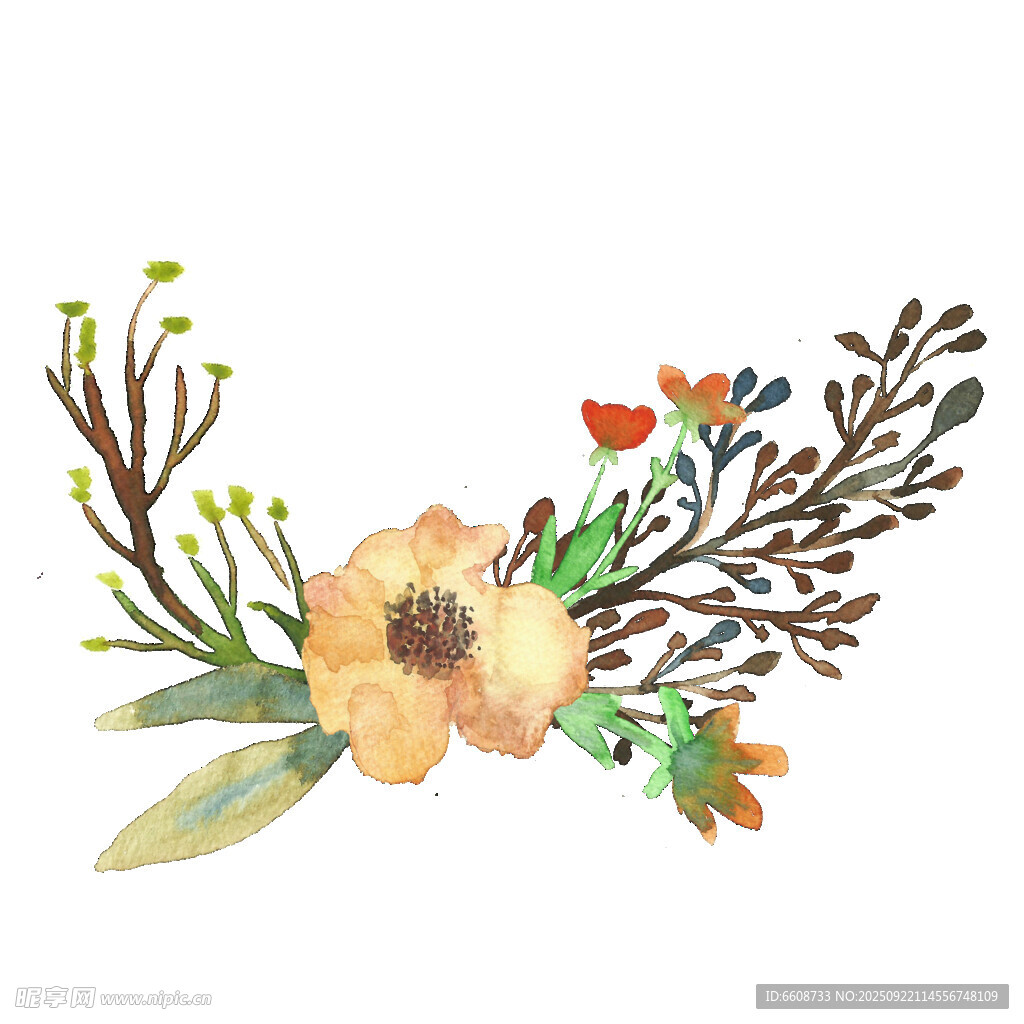 手绘水彩花卉装饰图案