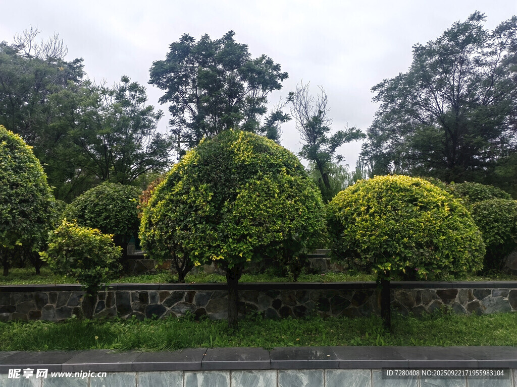 修剪整齐的绿植景观