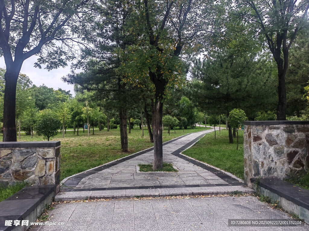 林间小径入口处的静谧景致