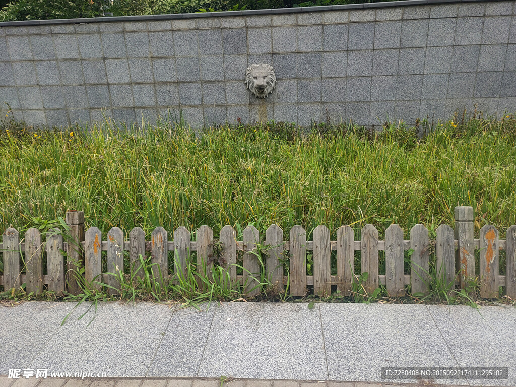 木质小围栏旁的绿植景观