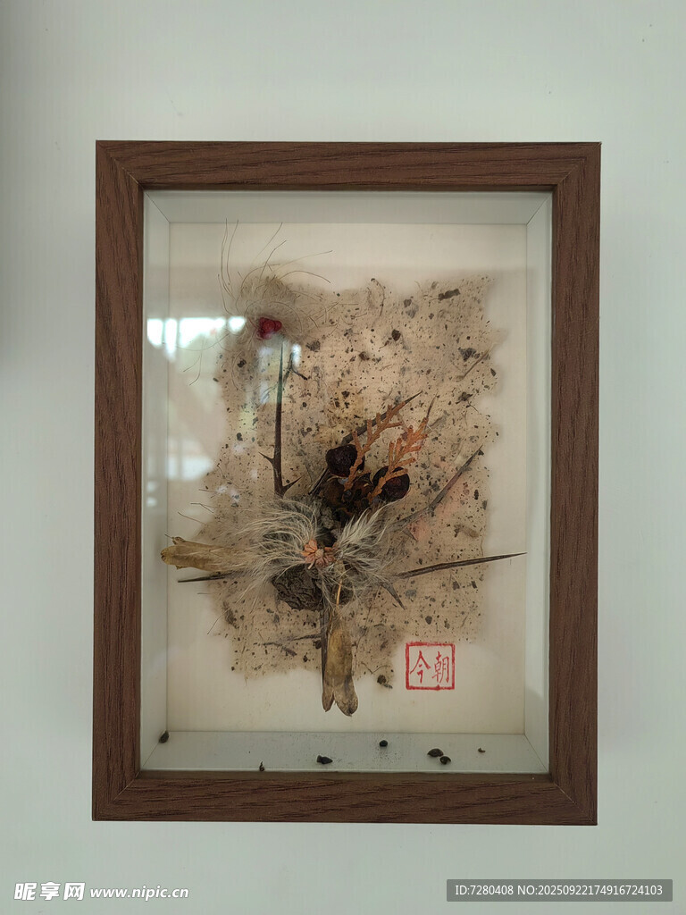 中式昆虫标本艺术装饰画
