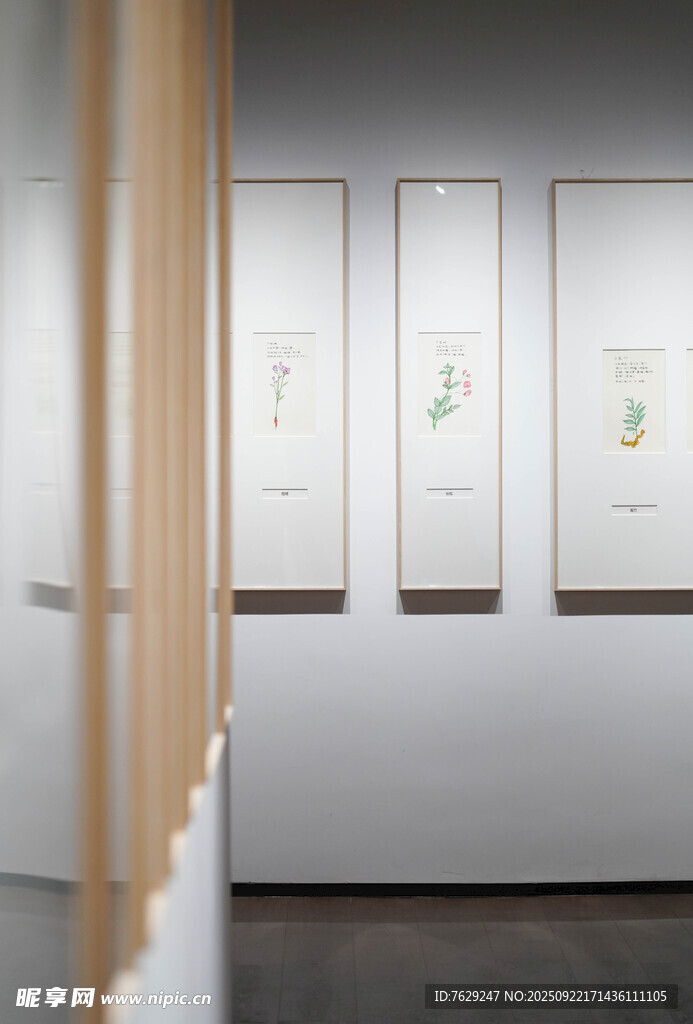 简约展厅内的艺术挂画展示