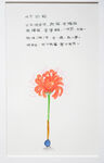 手绘花朵与文字艺术画面