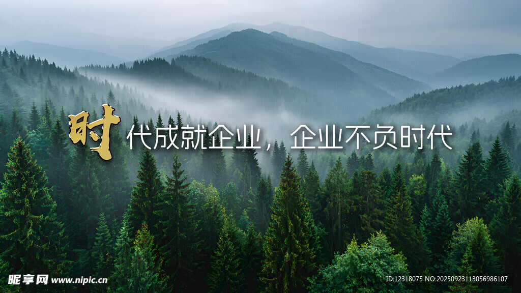 山林晨雾尽显自然之美