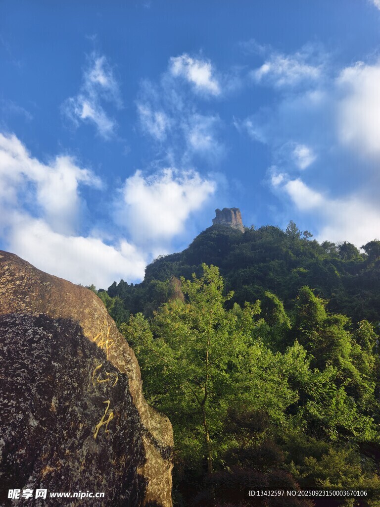 山间石径与葱郁植被景观