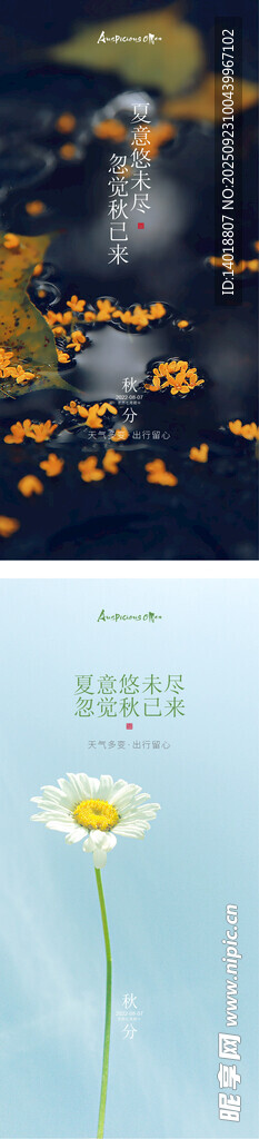 秋分节气海报