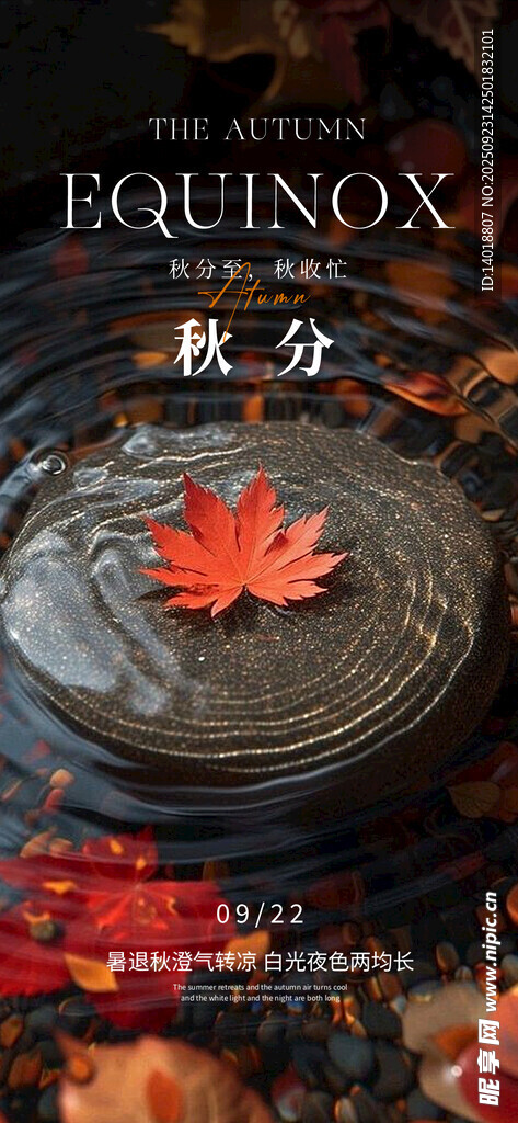 秋分节气海报