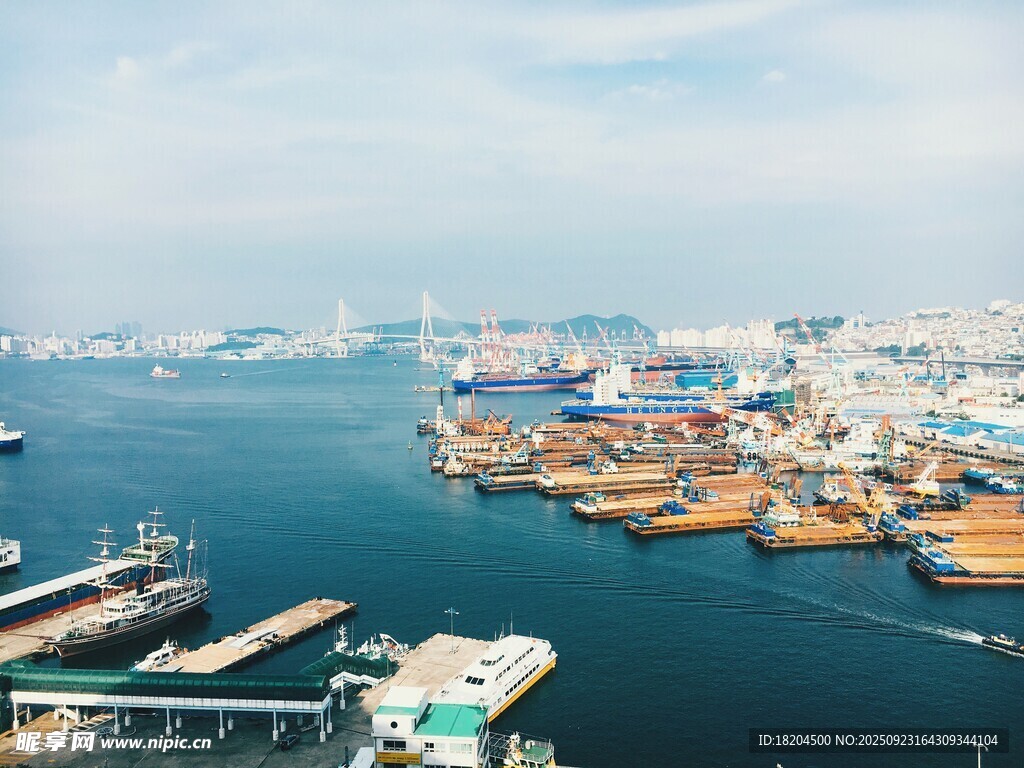 繁忙港口景象