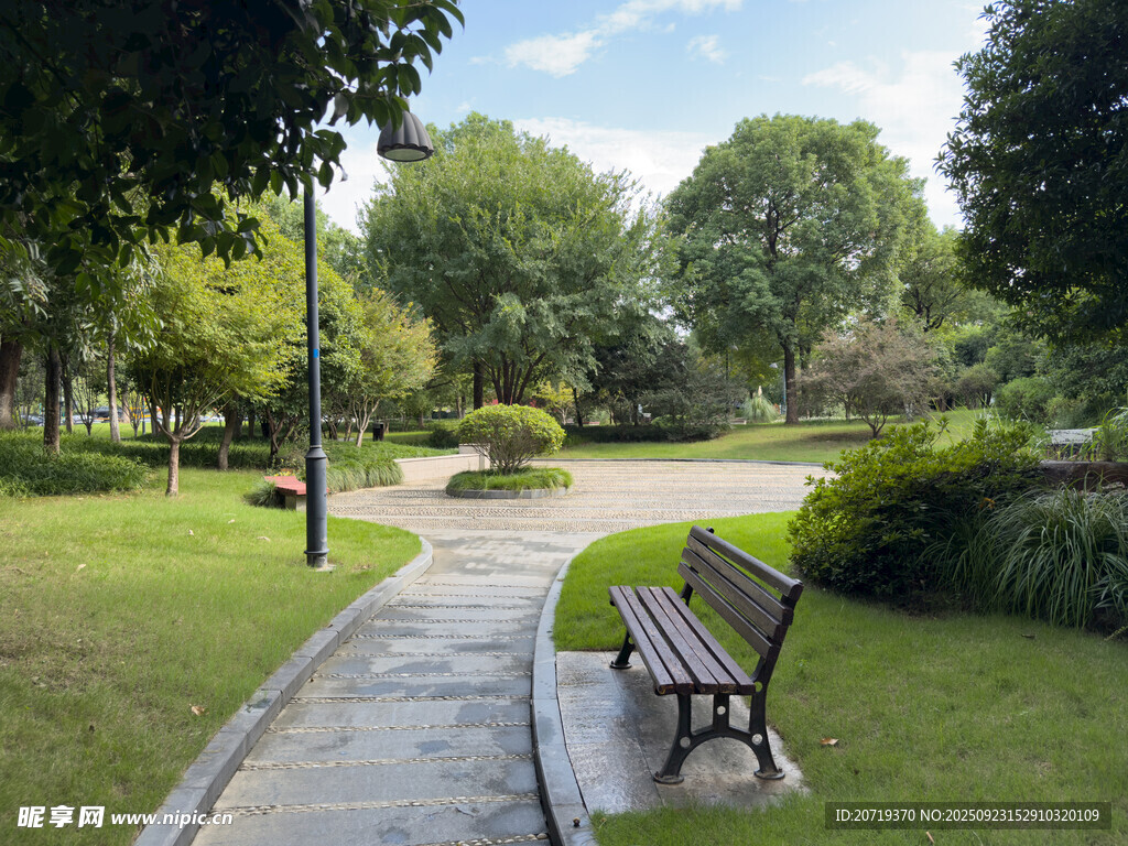 公园小径旁的休闲长椅