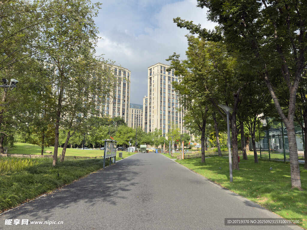 城市林荫道路景观
