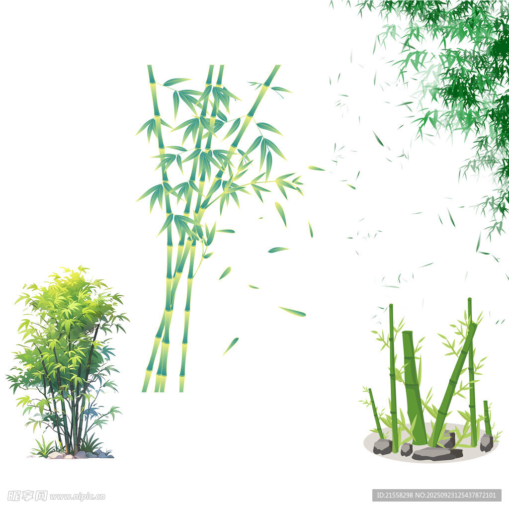 多样翠竹素材图