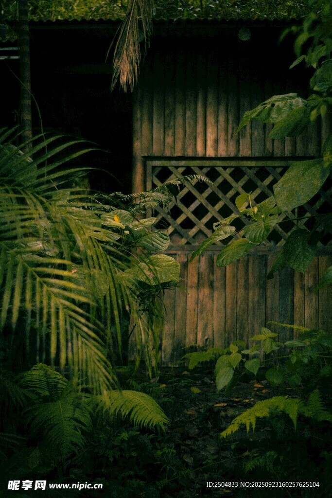 绿植环绕的隐秘小院