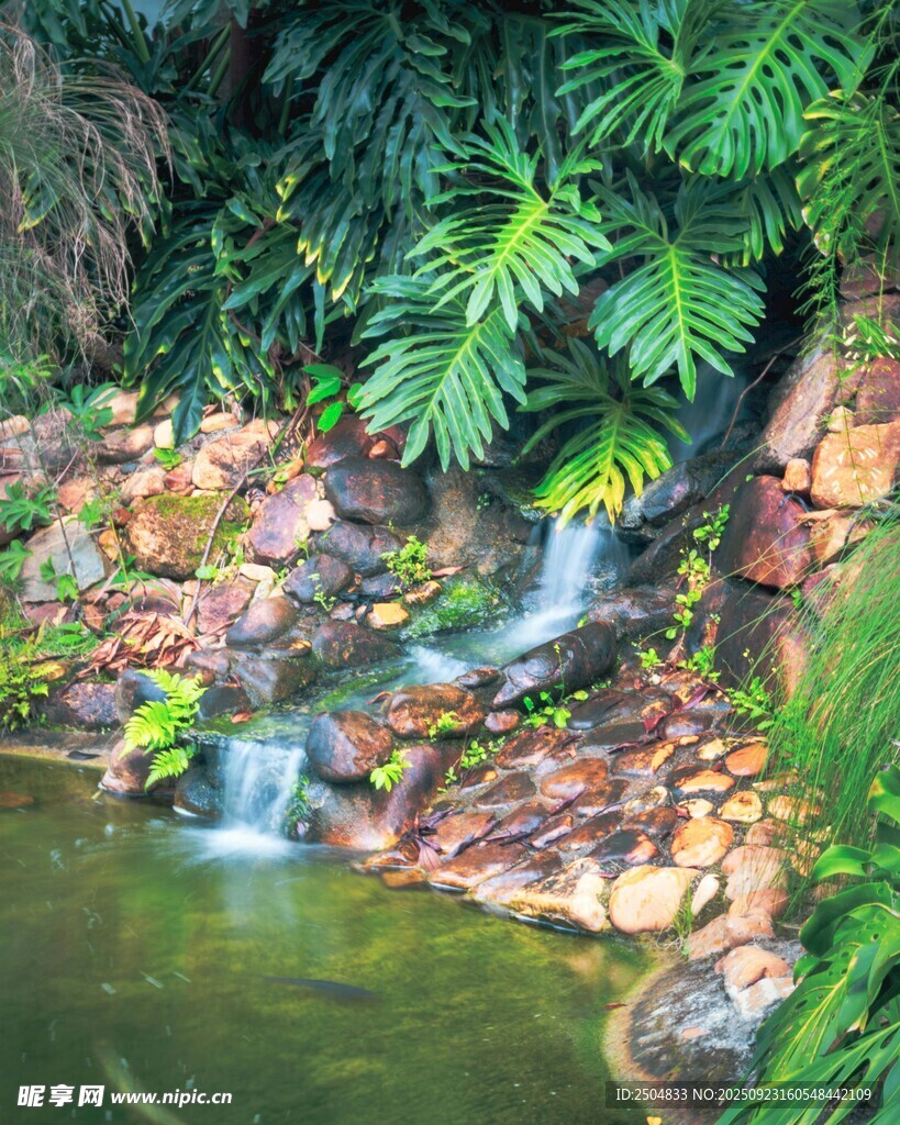 山间溪流旁的绿植景观