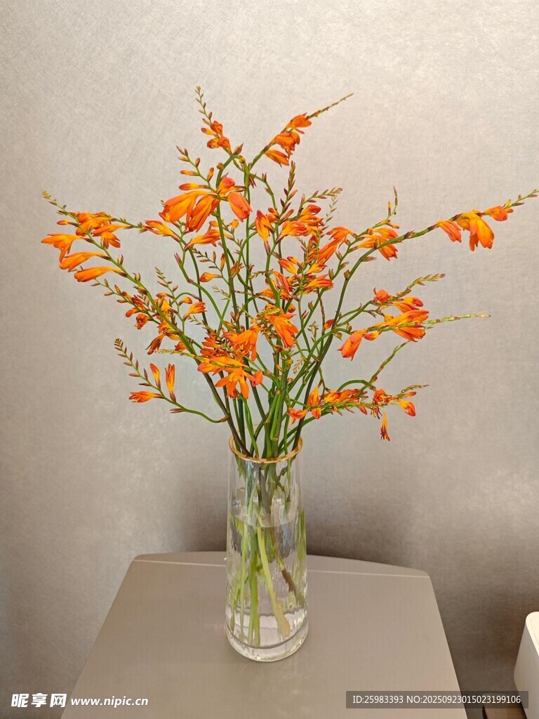 瓶插花卉