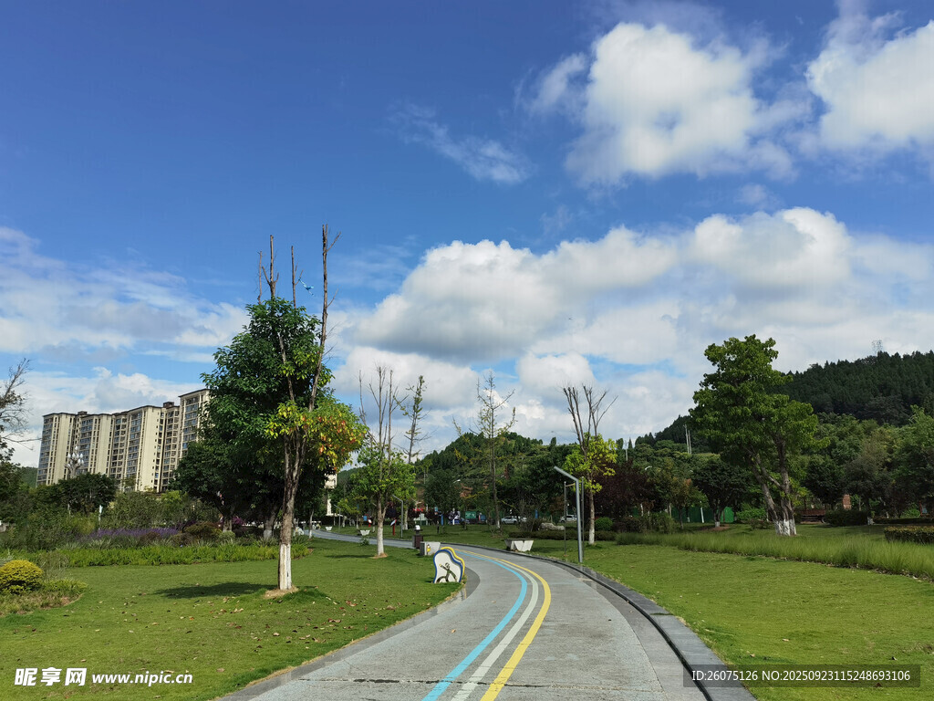城市中的清新林荫步道