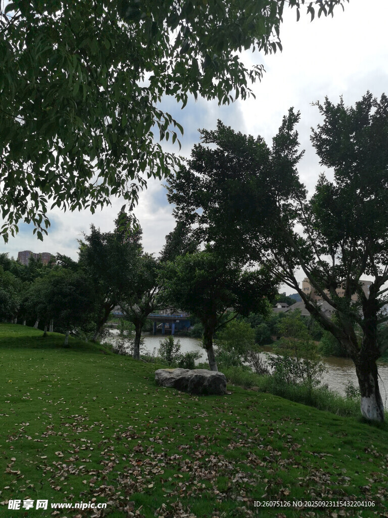 湖畔草地风光