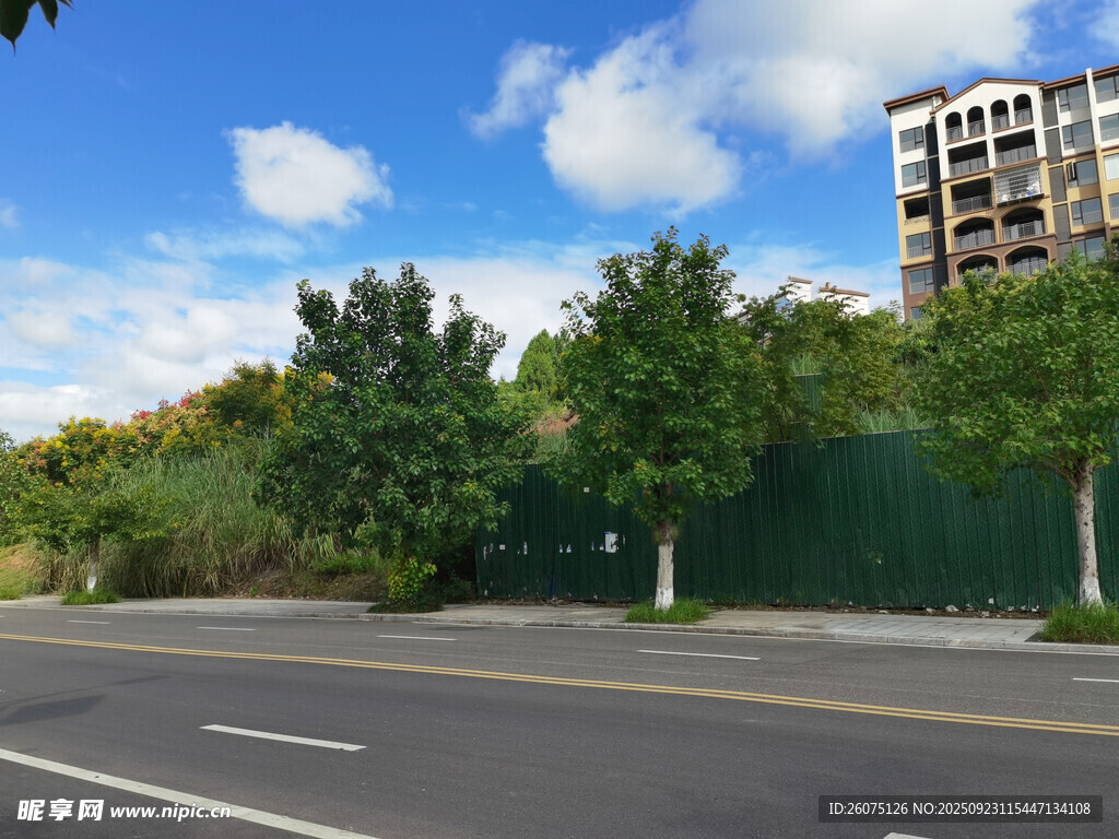 城市道路旁的绿树与建筑