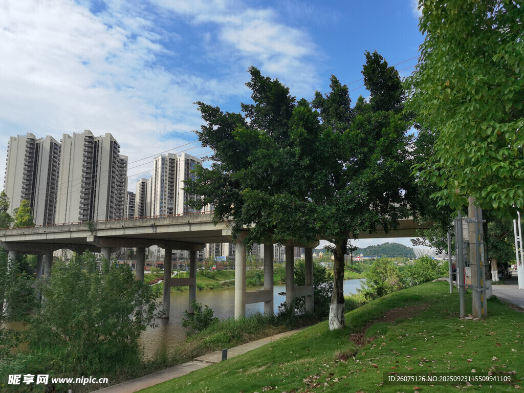城市河畔绿树与桥的景致