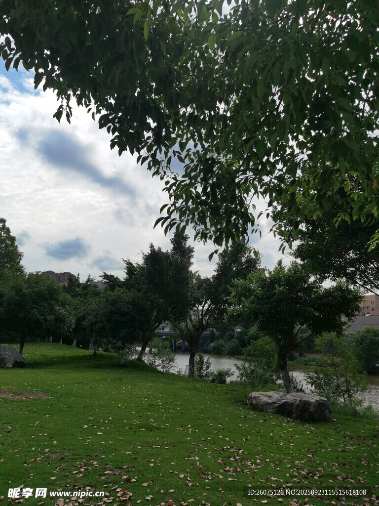 绿意盎然的户外自然景致