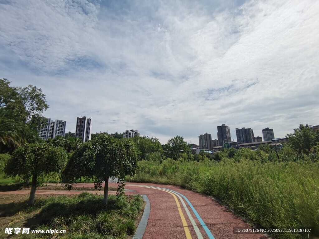城市中多彩的林间小径