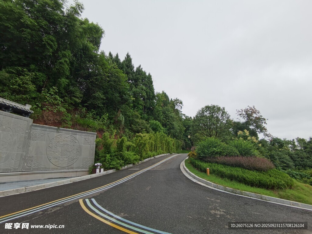 蜿蜒公路旁绿意盎然