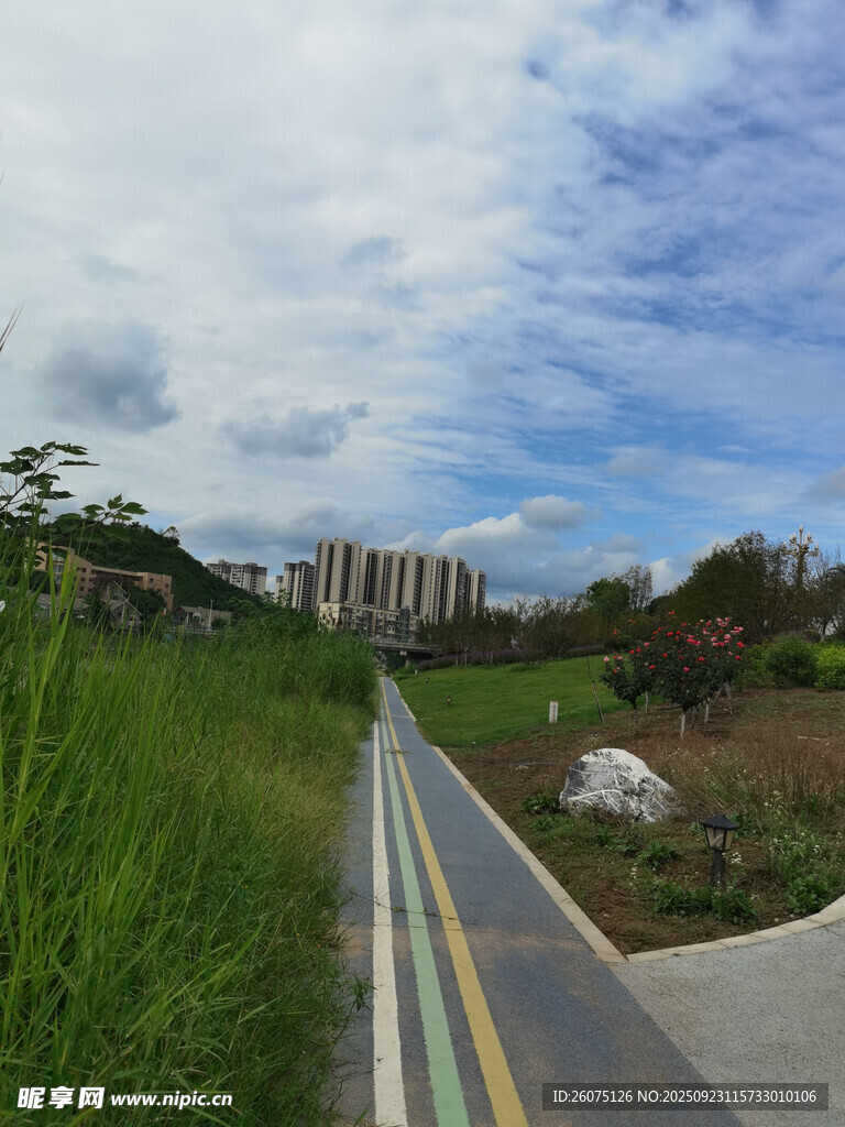 乡村小路旁的自然景致