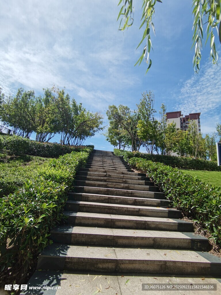 绿意环绕的石阶步道