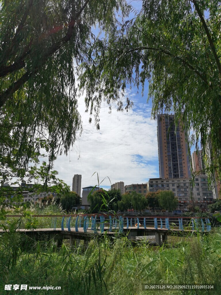 城市河畔绿意与高楼景观
