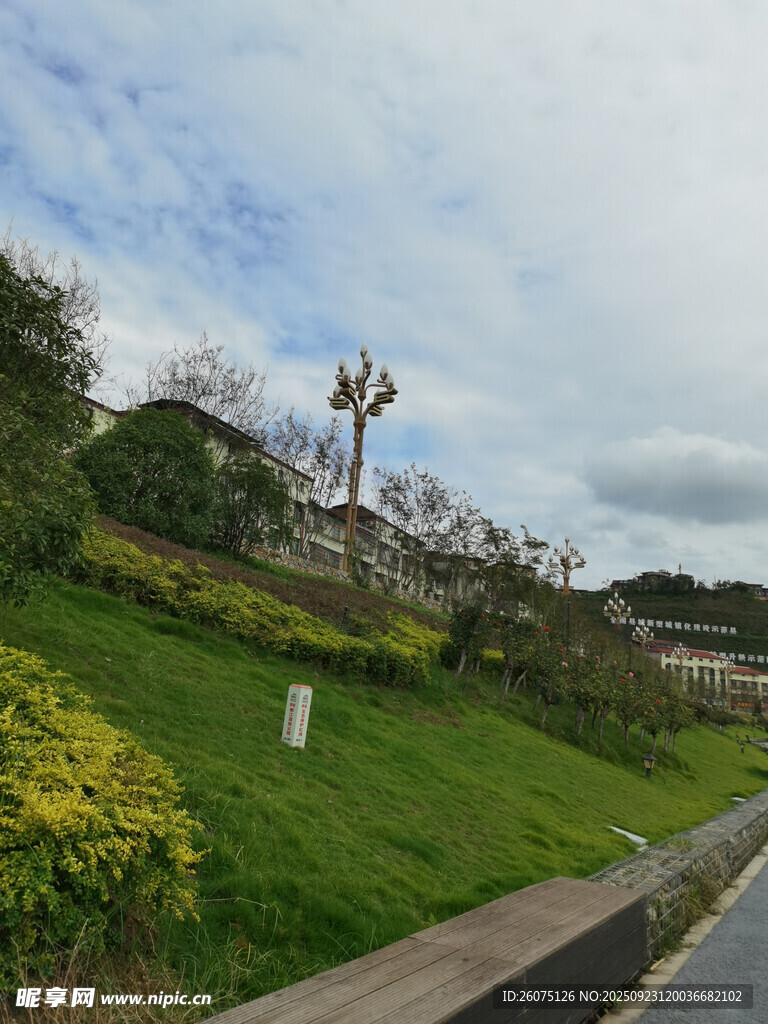 山坡路旁绿植景观