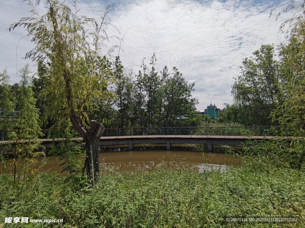 乡村河畔绿树风景图