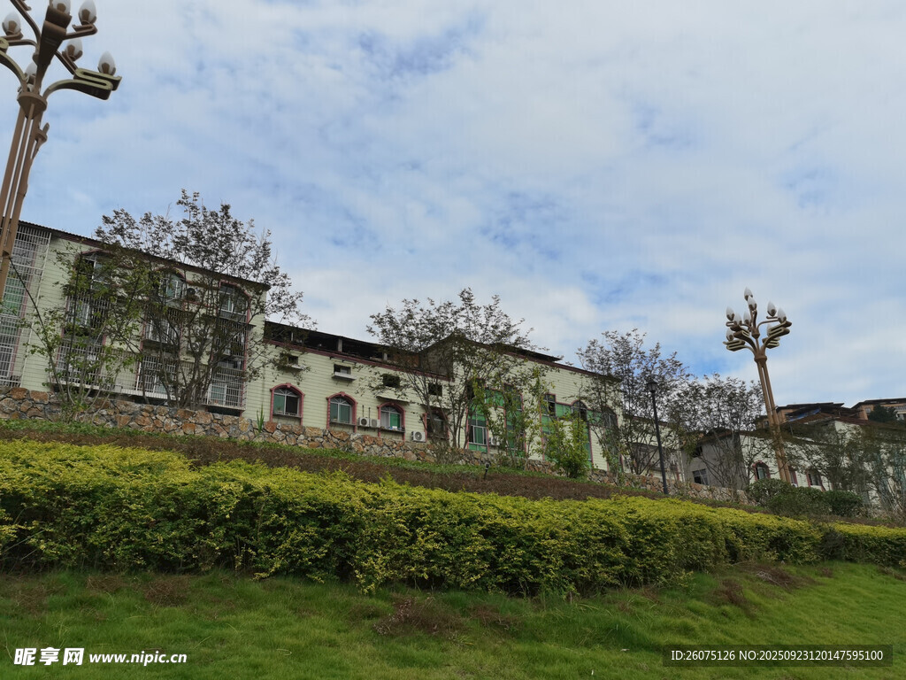 废弃建筑旁的绿植景观