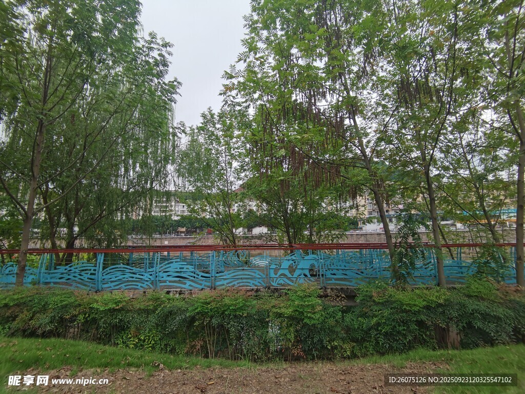 户外绿树环绕的蓝色场地