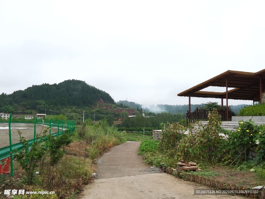 田园小径旁的自然景致