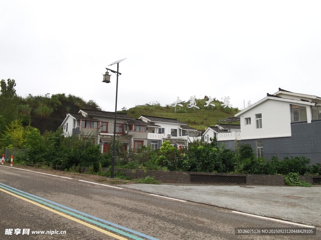 公路旁的宁静民居