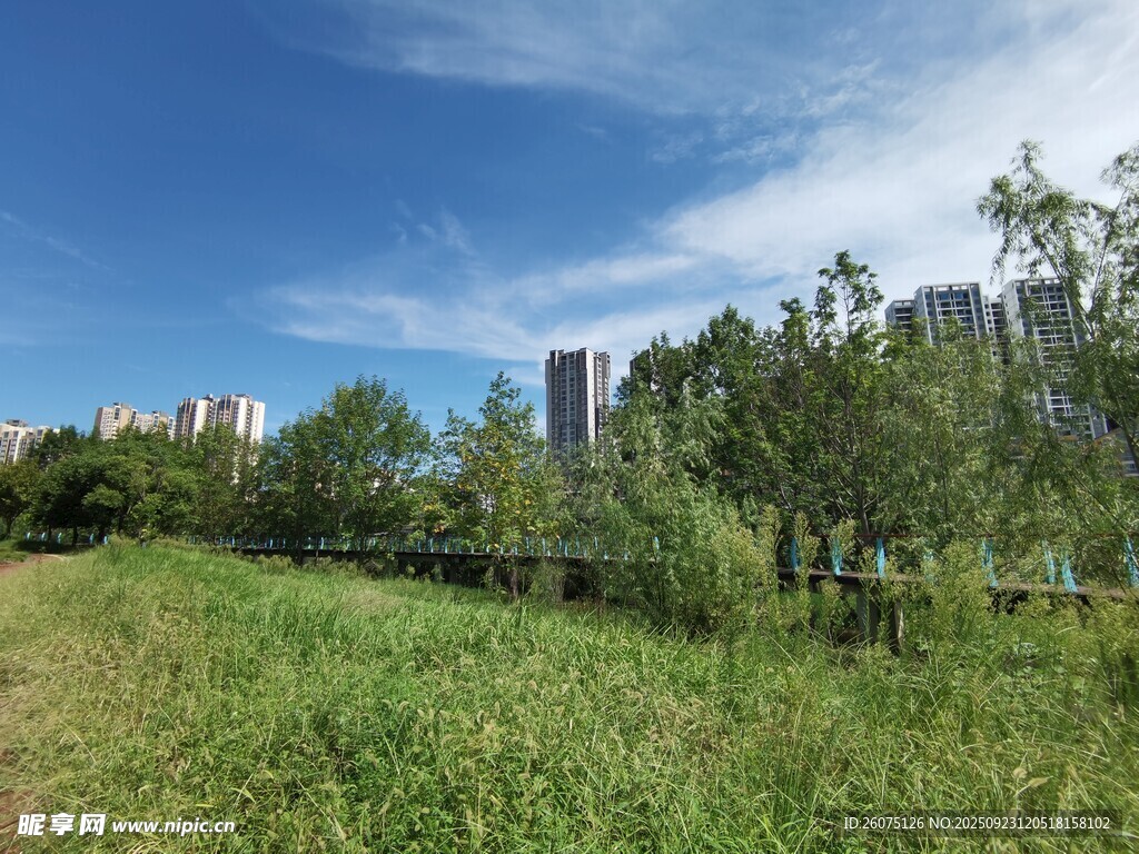 城市边的绿野与林立高楼