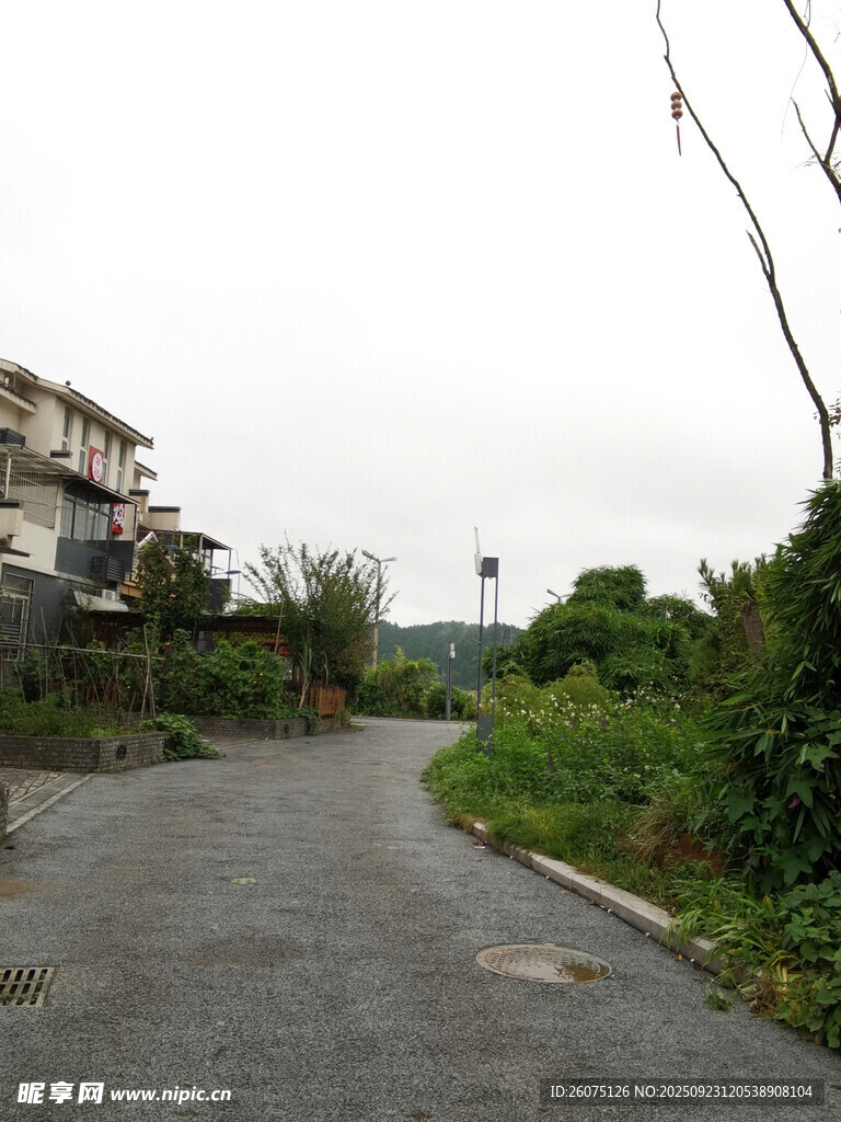 荒废小路旁的破败景象