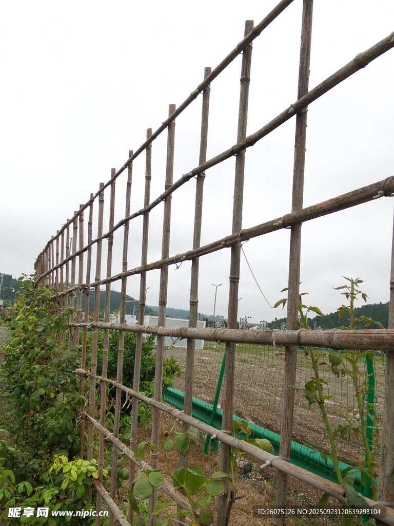 竹制框架搭建的温室围栏
