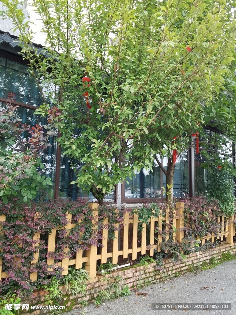 木栅栏旁的葱郁绿植