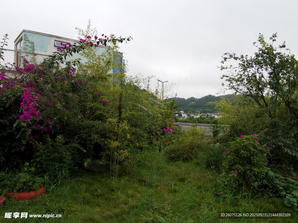 山坡上的多彩小屋与绿植