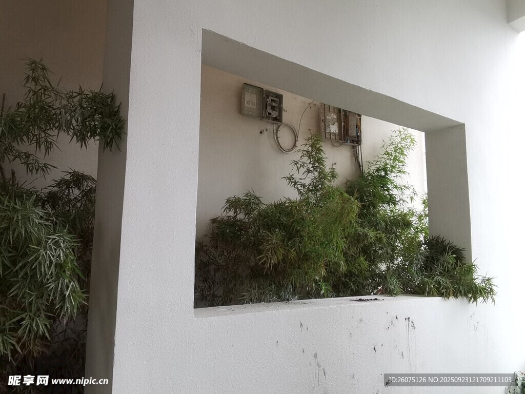 室内绿植墙装饰景观