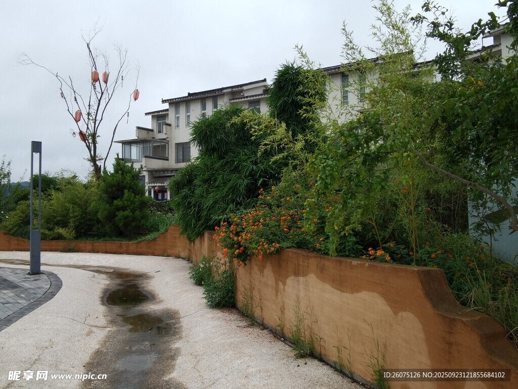 小区中的绿植与步道景观