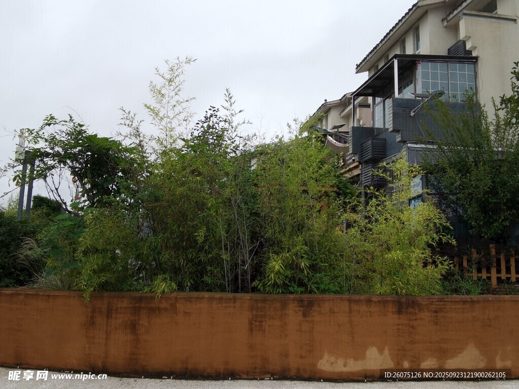 庭院绿植环绕的现代建筑