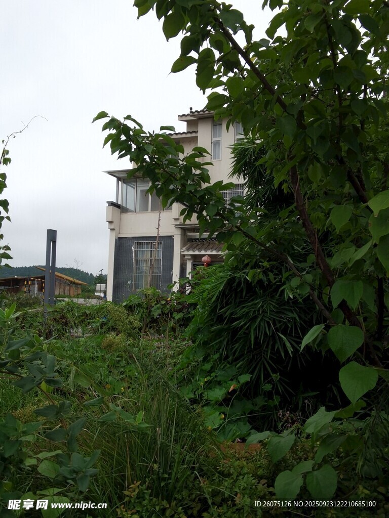 被绿植环绕的白色房屋