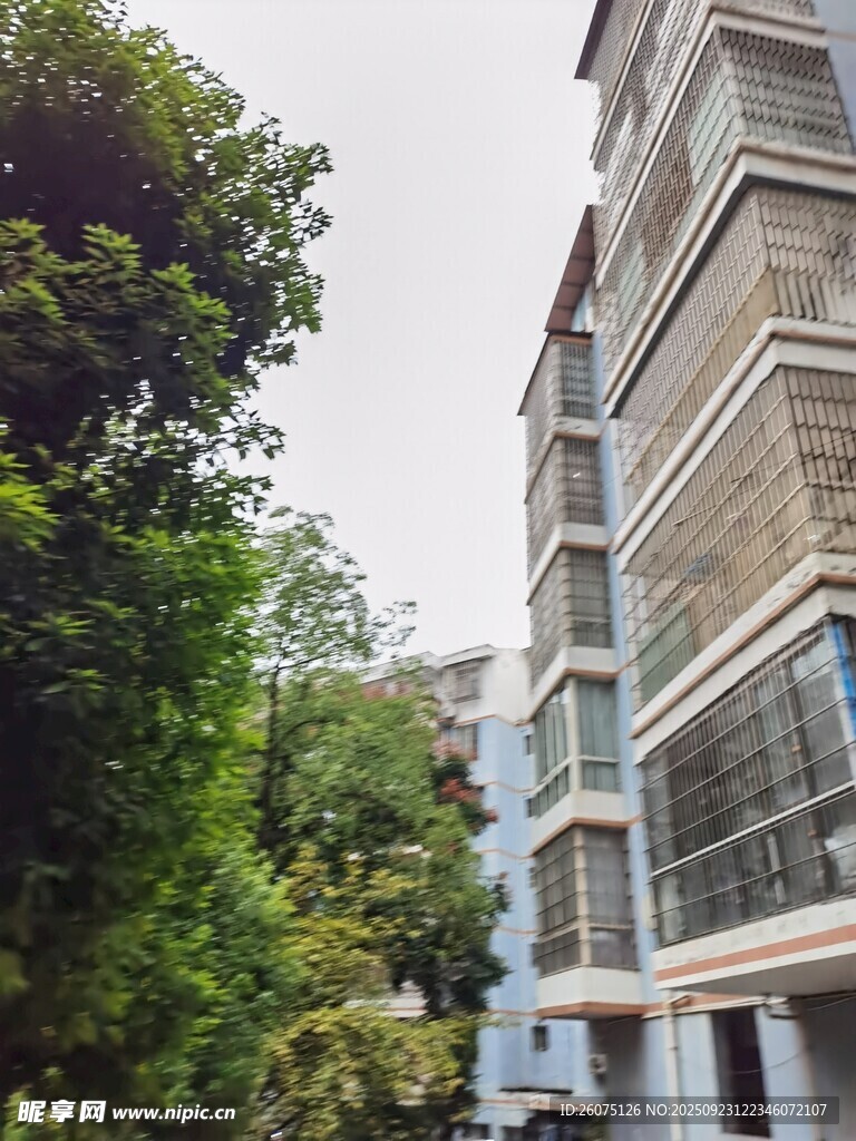 绿树环绕的现代建筑