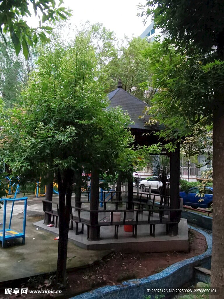 公园中的凉亭与绿树