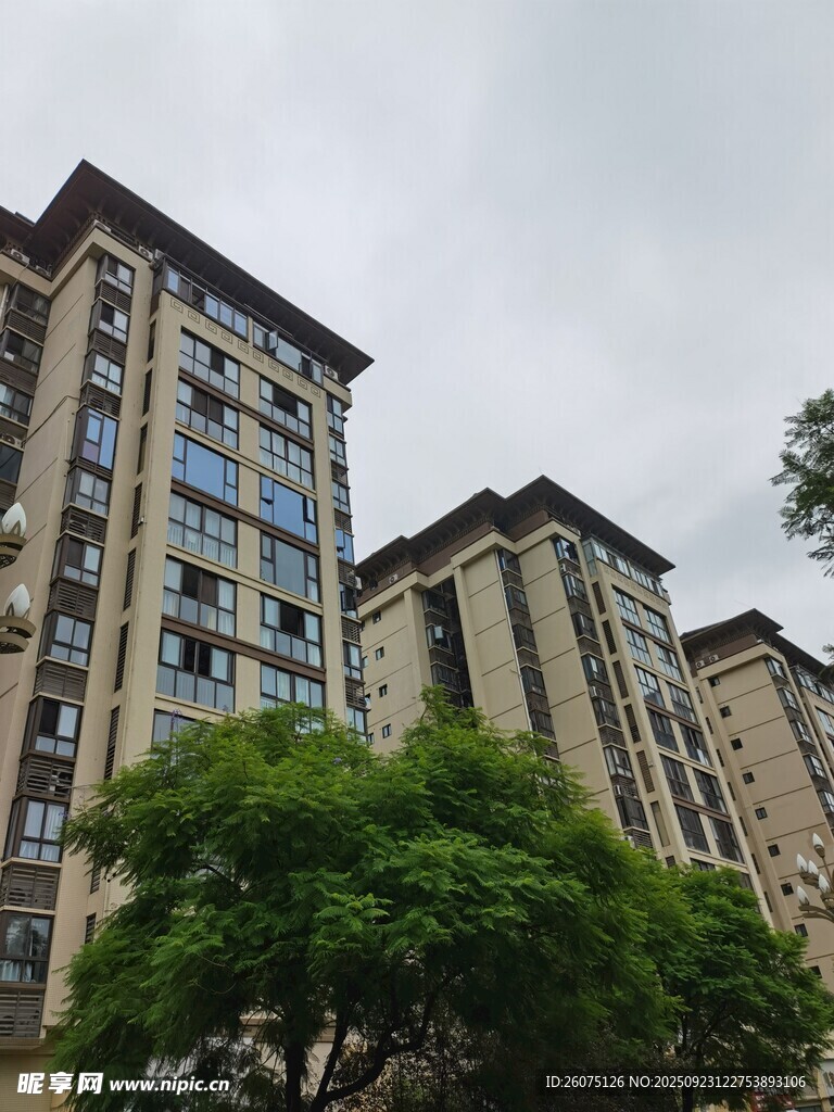 现代高层住宅与绿树景观