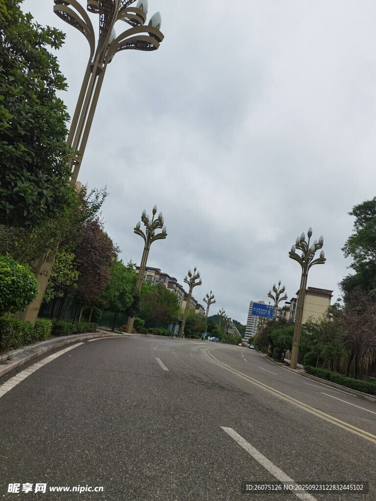 道路旁造型独特的路灯