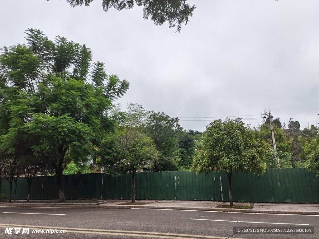 户外绿树环绕的宁静场景