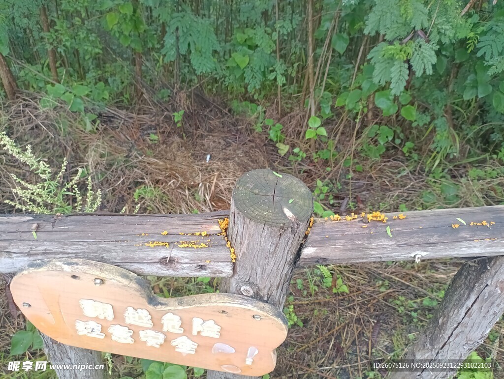 林间指路木牌
